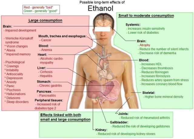 text: ethanol effects