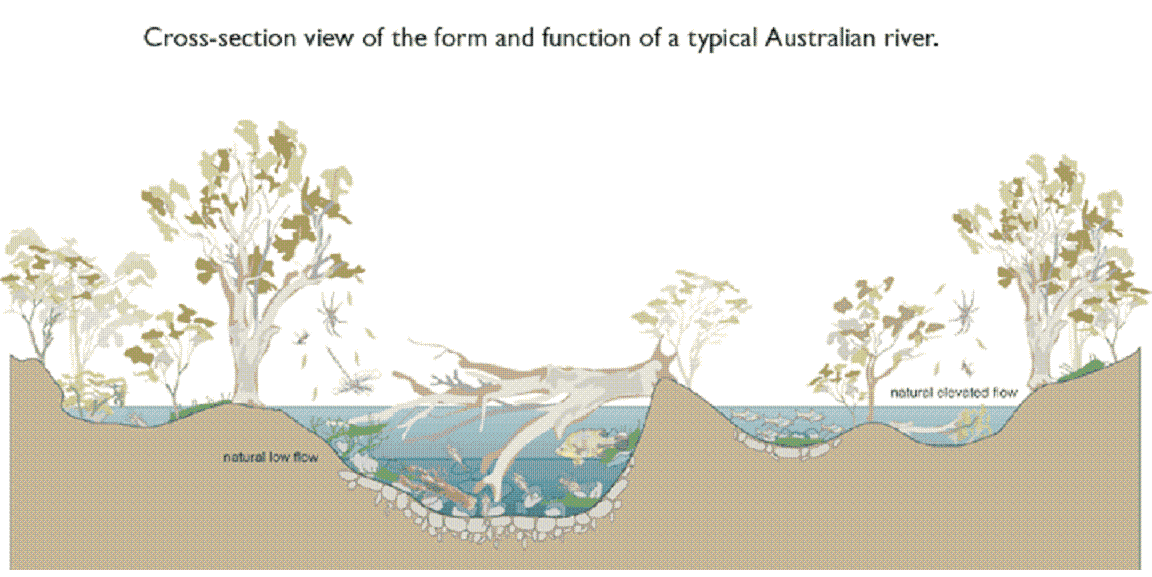 transectaustraliariver