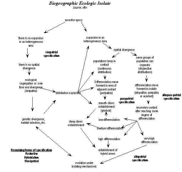 flowchart: ecological isolate