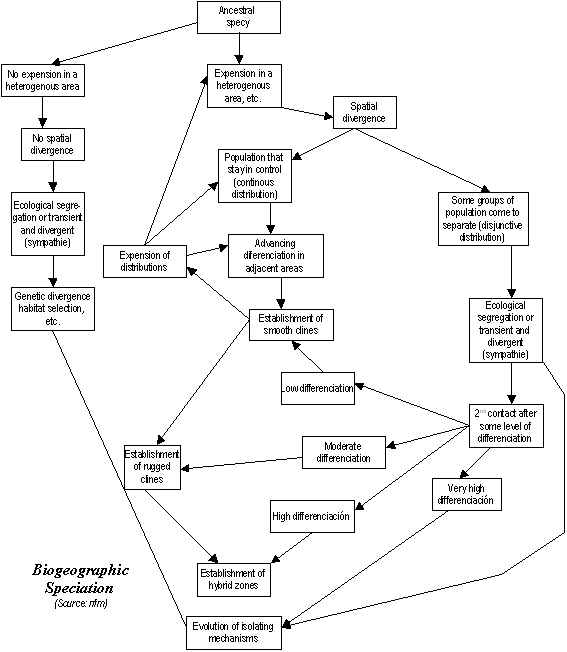 flowchart: biogeographic speciation