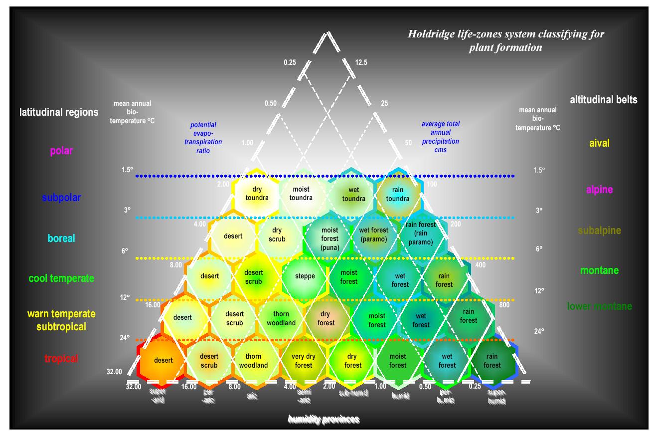 flowchart: Holdridge biozones