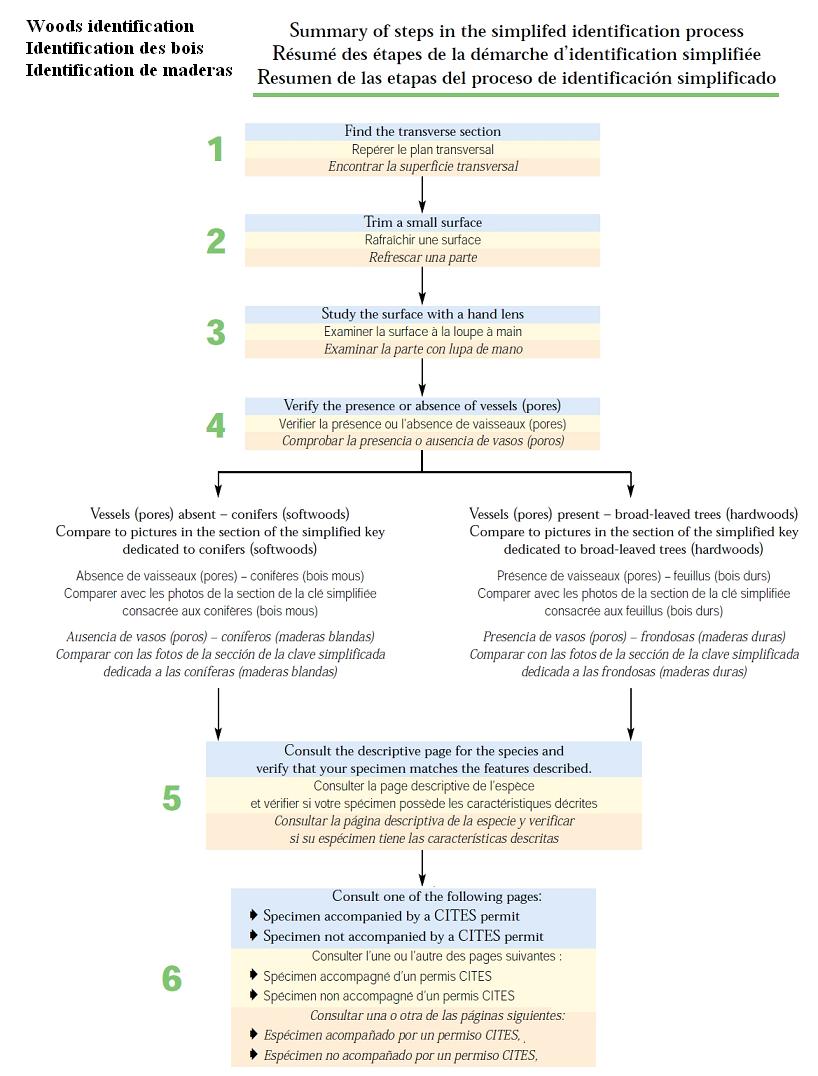 text:identifywoodsteps