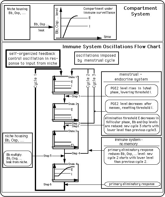 text:immunityfeedback