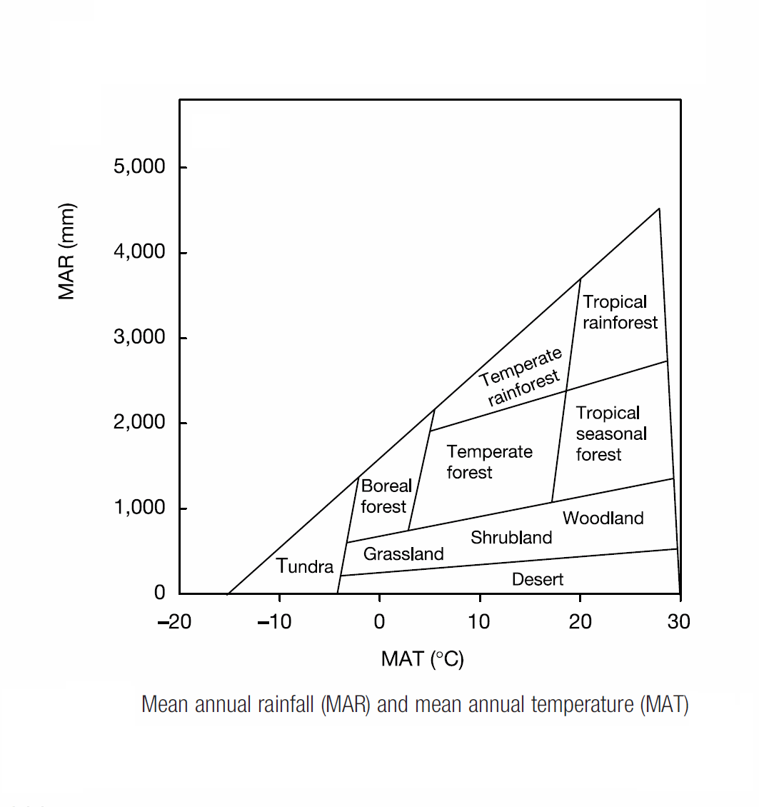 text:rainfallvegetation