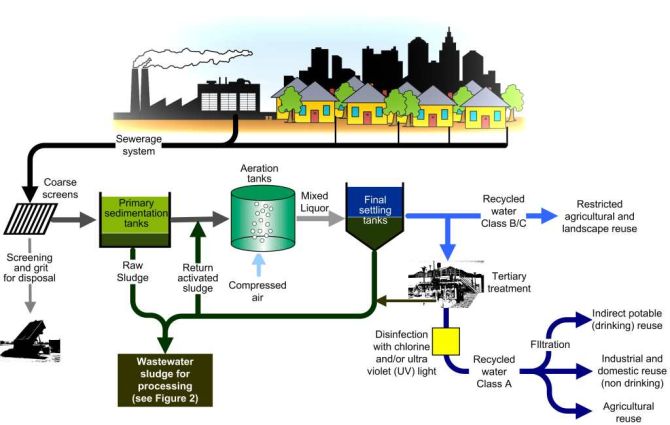 text: sewageprocessscheme