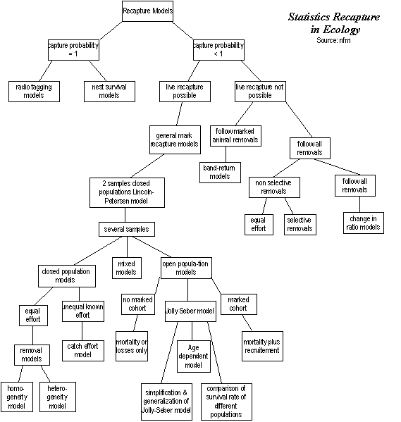 flowchart: statistic recapture in zoology