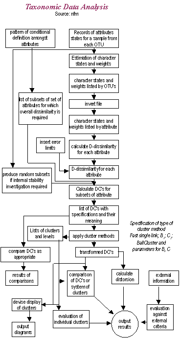 flowchart: taxonomy analysis