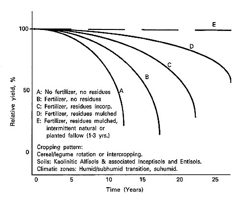 text: croppingpatternsoil