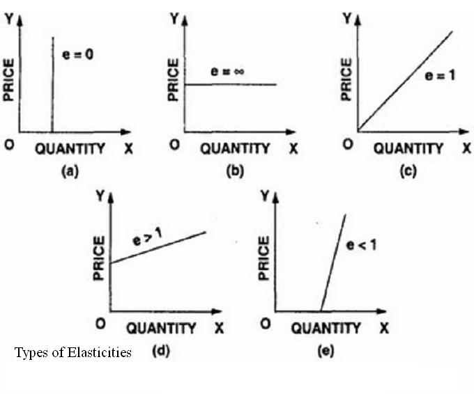 text:typespriceelasticity