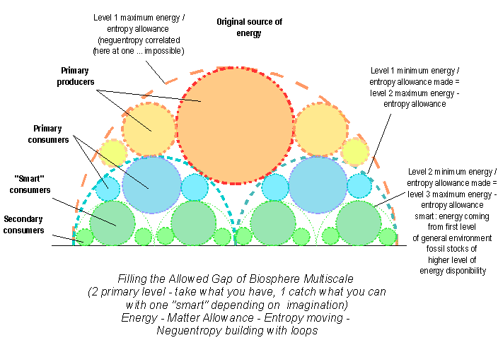 foodwebsentropy