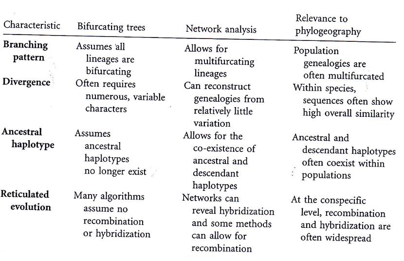 text:complexnetworkpatterns