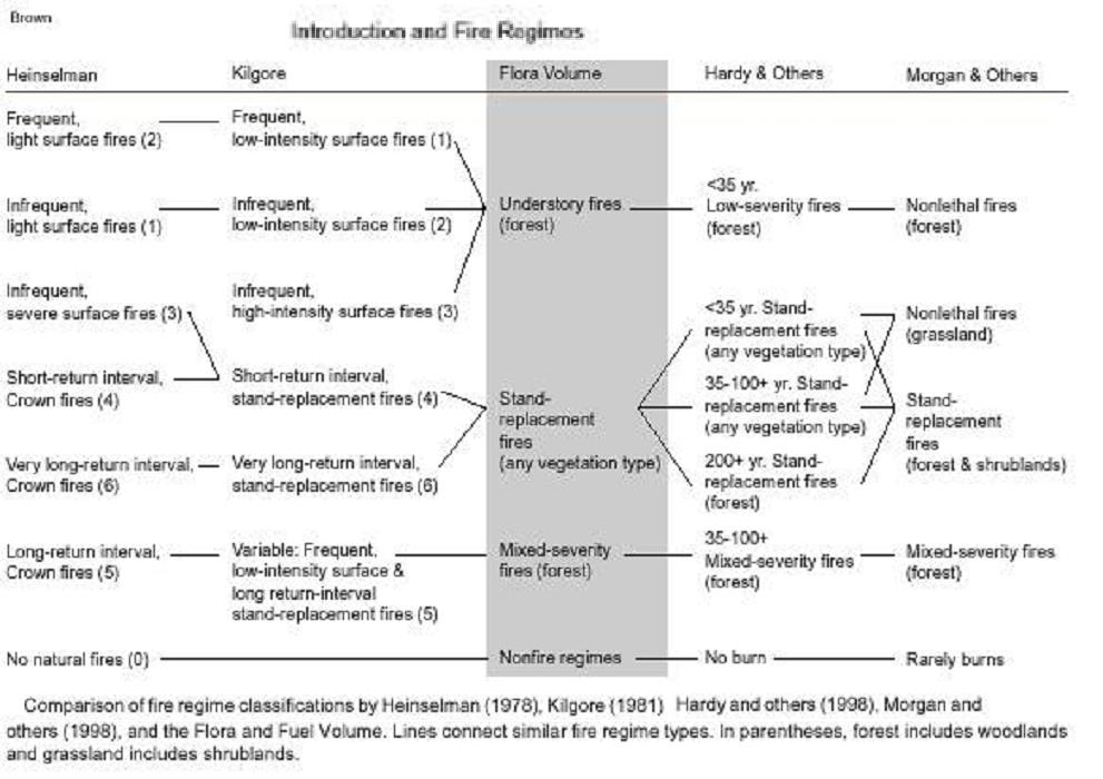 text:forestfireprevention