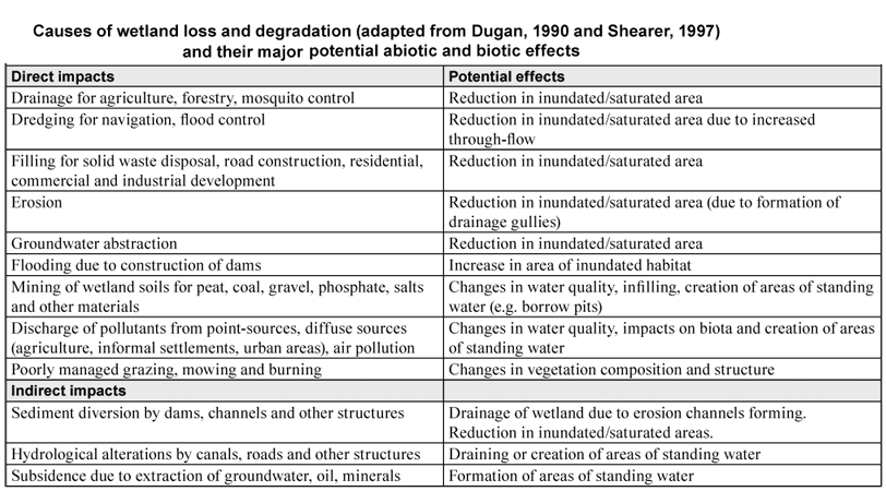 text:wetlanddegradation